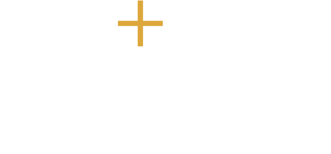 light logo